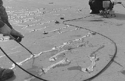 ��c��ĳ�e��С�^(q��)����ӹ�